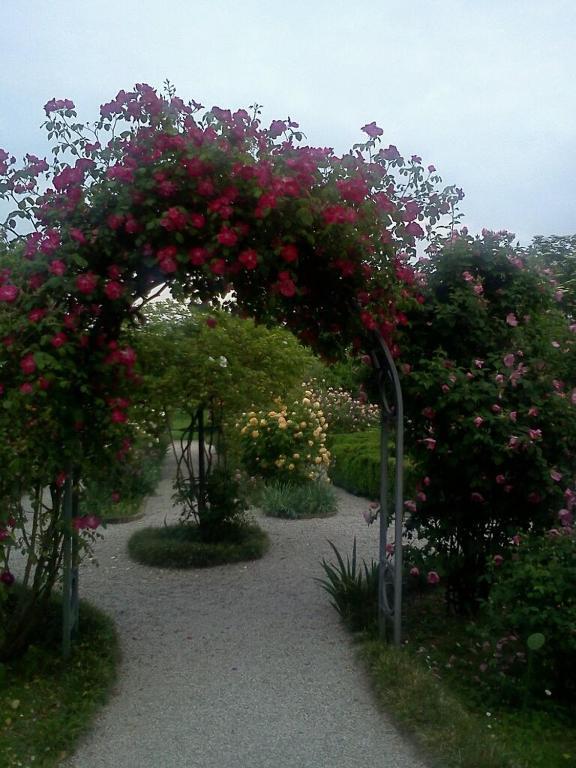 Hotel In Sylvis Sesto al Reghena エクステリア 写真